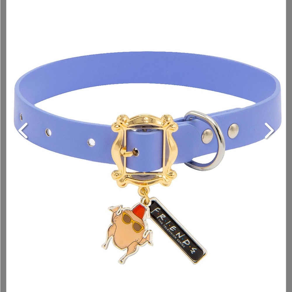 Friends T.V Show Buckle-Down Dog Collar With Charms Size Large 14-19” NWT